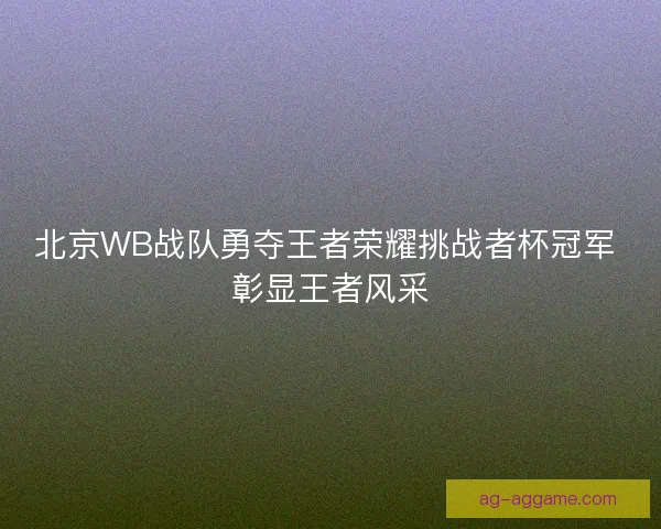 北京WB战队勇夺王者荣耀挑战者杯冠军 彰显王者风采
